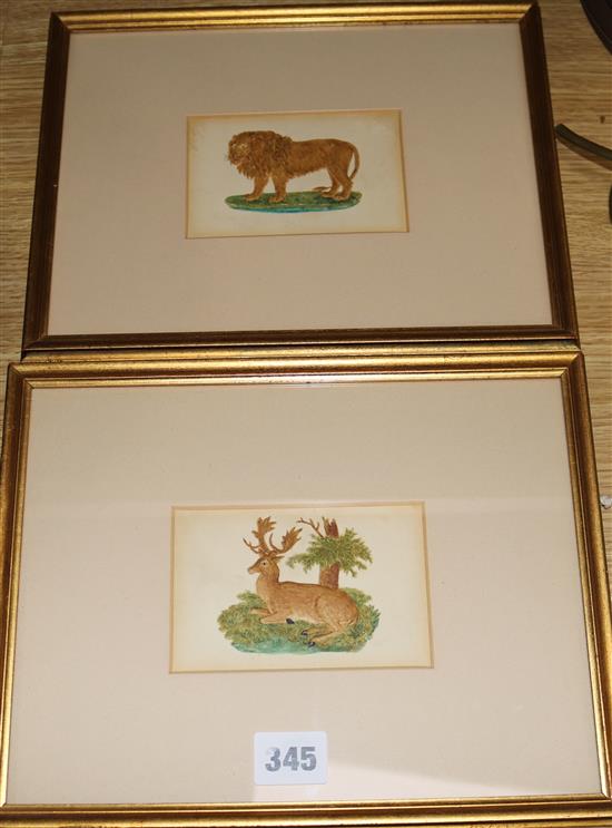 A pair of small prints of a lion and a stag 8 x 12cm